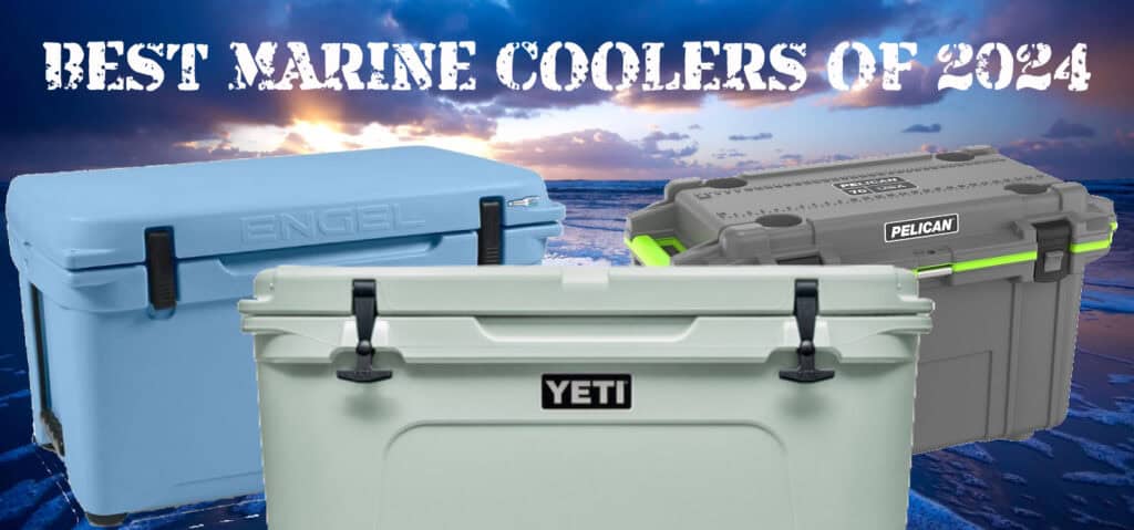 Best Marine Coolers for your Boat